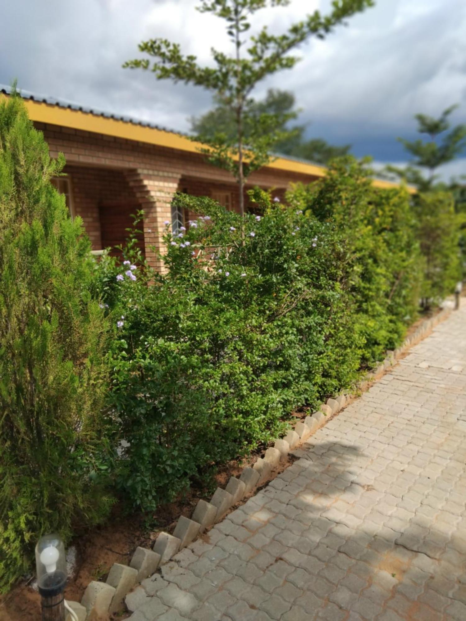 Sunshinevibe Guest House Kasane Exteriér fotografie
